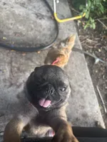 processed/e52ea0e6-532f-49f6-88fb-0d791bd771f4/listing/3a57dd50-5f0f-46c0-b0aa-efea6ae97a6e/969e7ef4-5ef3-4807-933b-7ea80b36249b