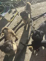 processed/e52ea0e6-532f-49f6-88fb-0d791bd771f4/listing/3a57dd50-5f0f-46c0-b0aa-efea6ae97a6e/a59c0dea-14d6-41b0-aa80-27a40756115a