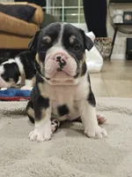 processed/e52ea0e6-532f-49f6-88fb-0d791bd771f4/listing/3f5f6cb3-6872-497e-9b1c-9d5be4a17084/5d404a46-a958-4a79-8a7e-bc5f4bc7dc7c