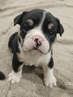 processed/e52ea0e6-532f-49f6-88fb-0d791bd771f4/listing/3f5f6cb3-6872-497e-9b1c-9d5be4a17084/937c18f3-e4bd-4766-b5ae-160129535550