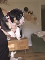 processed/e52ea0e6-532f-49f6-88fb-0d791bd771f4/listing/3f5f6cb3-6872-497e-9b1c-9d5be4a17084/9dd81f1d-448f-457e-a47d-f7d90b47ddfa