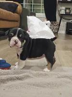 processed/e52ea0e6-532f-49f6-88fb-0d791bd771f4/listing/3f5f6cb3-6872-497e-9b1c-9d5be4a17084/be5dbe44-3985-4a33-bc87-727b41a262c3