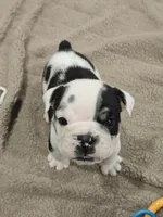 processed/e52ea0e6-532f-49f6-88fb-0d791bd771f4/listing/5f1ce846-1419-46df-bb7e-3e9871559597/0703823e-3eea-4ef5-ae64-4204d9e0eb9c