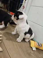 processed/e52ea0e6-532f-49f6-88fb-0d791bd771f4/listing/5f1ce846-1419-46df-bb7e-3e9871559597/17079f12-7cbd-4929-8694-68cfd214f3fd