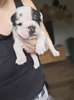 processed/e52ea0e6-532f-49f6-88fb-0d791bd771f4/listing/5f1ce846-1419-46df-bb7e-3e9871559597/3f004906-48f1-4bde-b34e-ba4f70cd1bbd