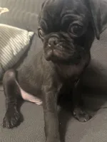 processed/e5435648-ecb2-4017-a2c9-4d54d288b0bf/listing/597c8150-66f6-4be8-a2b9-8d0a2158652d/186620a9-b44e-4502-8252-84f0bb91294c