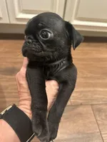 processed/e5435648-ecb2-4017-a2c9-4d54d288b0bf/listing/597c8150-66f6-4be8-a2b9-8d0a2158652d/ad2c1a01-5810-4ffe-86c5-e38b62262411