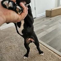 processed/e543f393-8999-47bf-8674-84614b85326e/listing/236c05e4-7b87-4cdc-9bc5-37306c5742d2/4ad5356d-de05-4a24-88cf-929b9b39d98e