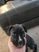 processed/e543f393-8999-47bf-8674-84614b85326e/listing/236c05e4-7b87-4cdc-9bc5-37306c5742d2/4f855b02-d0eb-4a16-92b4-3abd278639d6