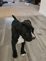 processed/e543f393-8999-47bf-8674-84614b85326e/listing/236c05e4-7b87-4cdc-9bc5-37306c5742d2/ed32ee03-e669-42fa-8edc-6cbe839f2ce1