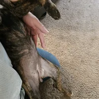 processed/e543f393-8999-47bf-8674-84614b85326e/listing/75566247-f817-4f5c-b79e-d941dcff0503/4061aed1-0491-438a-8ca9-58ba17b8238a