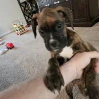 processed/e543f393-8999-47bf-8674-84614b85326e/listing/75566247-f817-4f5c-b79e-d941dcff0503/4b2bc083-ad0a-45b5-b09b-c0d8b23bf2f2