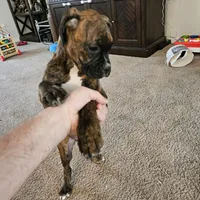 processed/e543f393-8999-47bf-8674-84614b85326e/listing/75566247-f817-4f5c-b79e-d941dcff0503/60bcaf57-dd36-4c30-bc7a-ddda50e409e9