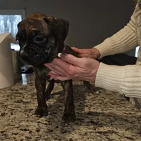 processed/e543f393-8999-47bf-8674-84614b85326e/listing/75566247-f817-4f5c-b79e-d941dcff0503/7c0eff29-89ca-4642-b3bf-2ad41bfba1d8