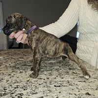 processed/e543f393-8999-47bf-8674-84614b85326e/listing/75566247-f817-4f5c-b79e-d941dcff0503/92b5a9ca-1387-4a58-85df-cb775ba62270