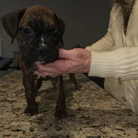 processed/e543f393-8999-47bf-8674-84614b85326e/listing/75566247-f817-4f5c-b79e-d941dcff0503/b1ae7d77-bafc-4097-8500-097a74355a28