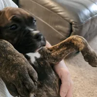 processed/e543f393-8999-47bf-8674-84614b85326e/listing/75566247-f817-4f5c-b79e-d941dcff0503/e5bce13f-ad2b-4274-a554-1bf315b41c9e