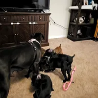 processed/e543f393-8999-47bf-8674-84614b85326e/listing/7f16d6f2-1d28-42ce-a309-1fd428c3cf01/33299108-7469-4165-a215-53d527d5aebe