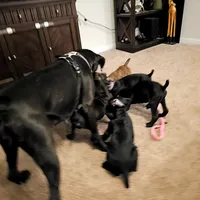 processed/e543f393-8999-47bf-8674-84614b85326e/listing/7f16d6f2-1d28-42ce-a309-1fd428c3cf01/38681044-2d61-4a80-acef-e60424c42170