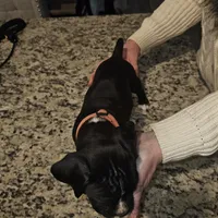 processed/e543f393-8999-47bf-8674-84614b85326e/listing/7f16d6f2-1d28-42ce-a309-1fd428c3cf01/78009156-d253-4997-b5cc-6ed453c16da9