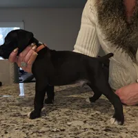 processed/e543f393-8999-47bf-8674-84614b85326e/listing/7f16d6f2-1d28-42ce-a309-1fd428c3cf01/a8672aa0-4472-4376-a8a8-675e901500c4