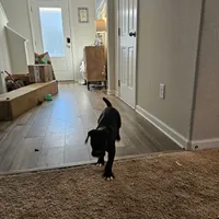 processed/e543f393-8999-47bf-8674-84614b85326e/listing/8ab59295-b4ff-480e-817b-9ef66af692ba/4f1b065a-f4a7-42f0-b080-3ef47b85917e