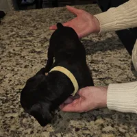 processed/e543f393-8999-47bf-8674-84614b85326e/listing/8ab59295-b4ff-480e-817b-9ef66af692ba/7d79d59b-b86f-4f32-83f3-6c34dd9c5010