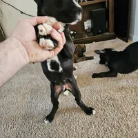 processed/e543f393-8999-47bf-8674-84614b85326e/listing/c6290c48-0ff9-434f-8d30-8545eeca3a2a/5a2f713e-2136-456c-86d5-9389a2d58d37