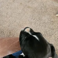 processed/e543f393-8999-47bf-8674-84614b85326e/listing/c6290c48-0ff9-434f-8d30-8545eeca3a2a/aa3aee9d-c494-497d-bc77-a91215adc087