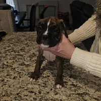 processed/e543f393-8999-47bf-8674-84614b85326e/listing/d81170b6-2c17-41d1-a197-02dbbe610dd3/40555d5a-972d-477e-9a0a-ccb01b7bf132