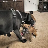 processed/e543f393-8999-47bf-8674-84614b85326e/listing/d81170b6-2c17-41d1-a197-02dbbe610dd3/5f423d75-ada7-4974-b396-8f88f2aee516