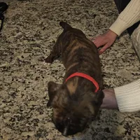 processed/e543f393-8999-47bf-8674-84614b85326e/listing/d81170b6-2c17-41d1-a197-02dbbe610dd3/766734ee-4cca-475b-9058-1c3a5cb557ca