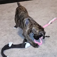 processed/e543f393-8999-47bf-8674-84614b85326e/listing/d81170b6-2c17-41d1-a197-02dbbe610dd3/b4ff345a-4ccb-48c3-aa3a-0997d7734888