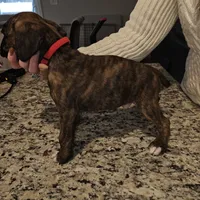 processed/e543f393-8999-47bf-8674-84614b85326e/listing/d81170b6-2c17-41d1-a197-02dbbe610dd3/d7b25b95-6665-45f0-b625-5f70e7cf887f