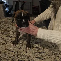 processed/e543f393-8999-47bf-8674-84614b85326e/listing/d81170b6-2c17-41d1-a197-02dbbe610dd3/d8d4663b-2e43-440b-8c64-b693130a9cc7