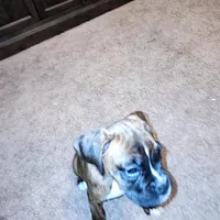 processed/e543f393-8999-47bf-8674-84614b85326e/listing/d81170b6-2c17-41d1-a197-02dbbe610dd3/eb576b53-e1be-4155-a733-b66a033b0ebb