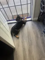 processed/e5443a9c-003b-40d4-ad5f-d4c3014888ef/listing/d3a16083-ec0d-43e8-984d-2a1e49fe5d27/36ffd6b1-91bc-420b-ba7b-161f7f752de7