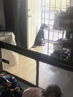 processed/e5443a9c-003b-40d4-ad5f-d4c3014888ef/listing/d3a16083-ec0d-43e8-984d-2a1e49fe5d27/48cc20af-88ac-41b8-8504-03e1d819c9d2