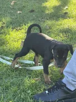 processed/e5443a9c-003b-40d4-ad5f-d4c3014888ef/listing/d3a16083-ec0d-43e8-984d-2a1e49fe5d27/ec8a4819-d942-43e7-8630-d0c710eb3047