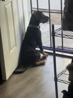 processed/e5443a9c-003b-40d4-ad5f-d4c3014888ef/listing/d3a16083-ec0d-43e8-984d-2a1e49fe5d27/ffa3db08-50ce-4277-9c1d-3489289c83cd