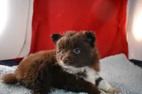 processed/e5471bcb-e250-41e7-8ec4-6f79a27dccfb/listing/b013c731-a4a7-48cd-b47e-4f7d65b7b383/2552f707-1ba8-42c9-81c7-60801442aff1