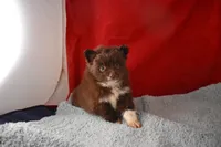 processed/e5471bcb-e250-41e7-8ec4-6f79a27dccfb/listing/b013c731-a4a7-48cd-b47e-4f7d65b7b383/4675e462-5098-4f8c-be62-2edd2b9a9981