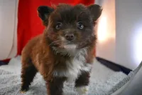 processed/e5471bcb-e250-41e7-8ec4-6f79a27dccfb/listing/b013c731-a4a7-48cd-b47e-4f7d65b7b383/9aa93c31-ede2-40f3-a72c-958f7ca1dd6b