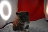 processed/e5471bcb-e250-41e7-8ec4-6f79a27dccfb/listing/b013c731-a4a7-48cd-b47e-4f7d65b7b383/d80acc91-9961-4f38-8376-bcc22df95dd4