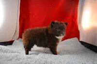 processed/e5471bcb-e250-41e7-8ec4-6f79a27dccfb/listing/b013c731-a4a7-48cd-b47e-4f7d65b7b383/f1e0784f-1b2c-4b7e-a605-ca8dd7d560dd