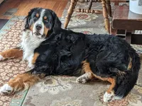 processed/e5516884-7412-4bc0-9658-e15b2648934f/facility/3071a8bf-a34d-4e79-85be-4e2ce80ae6b8