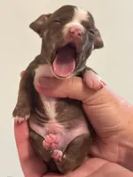 processed/e55c082f-a0bc-42c5-9a0d-46d17b88030b/listing/59618e31-d685-4b5e-b767-168ff74ce26a/01a3cc45-36dc-40c6-9364-8fd8d3564249