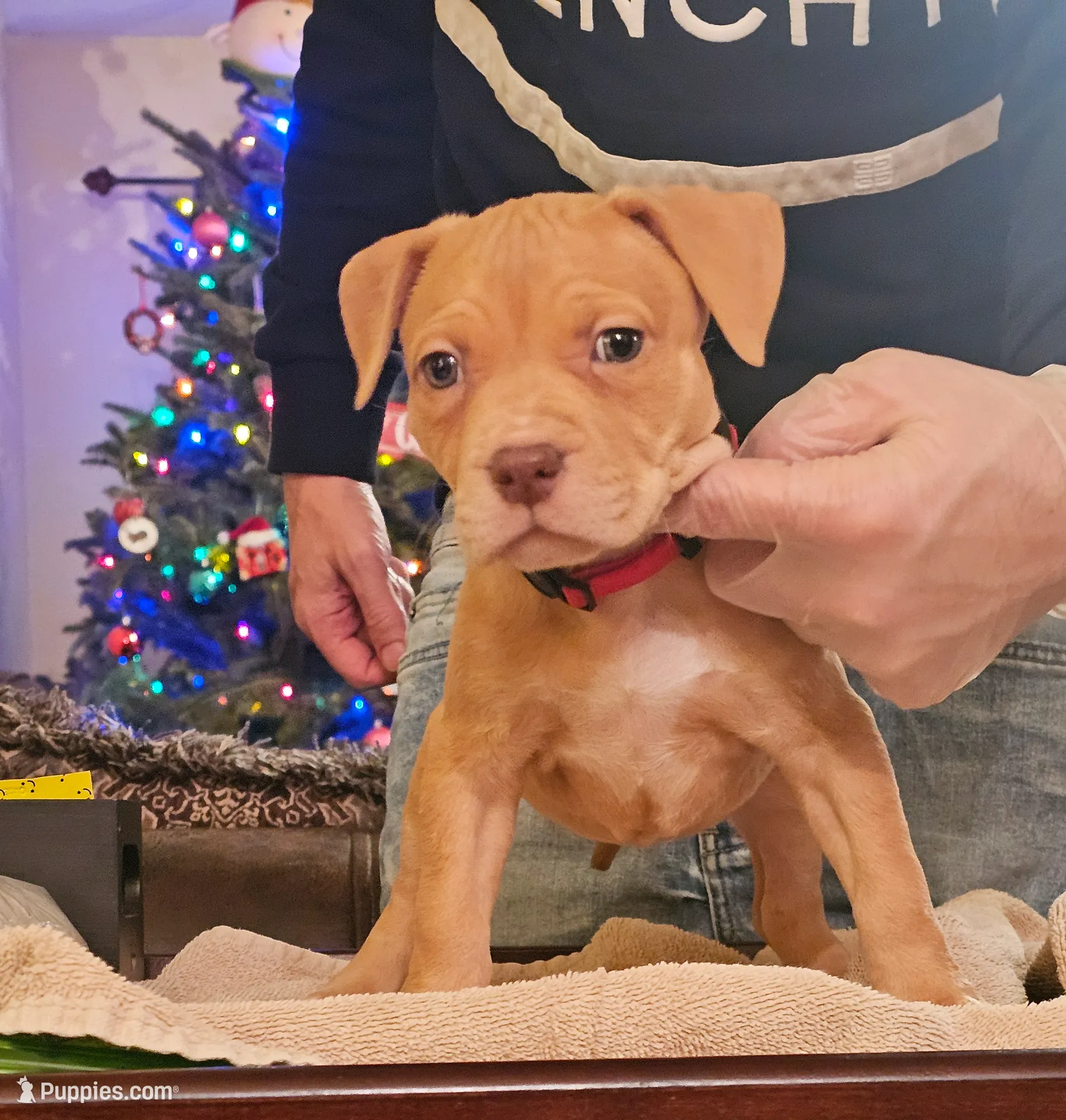 processed/e55daac7-8fd1-492b-806d-fd65c3f53004/listing/1b79f97d-a34d-4bfe-b01a-0c3bf9b14df7/0e921e96-4443-4514-a12f-4e8b615ef9c6