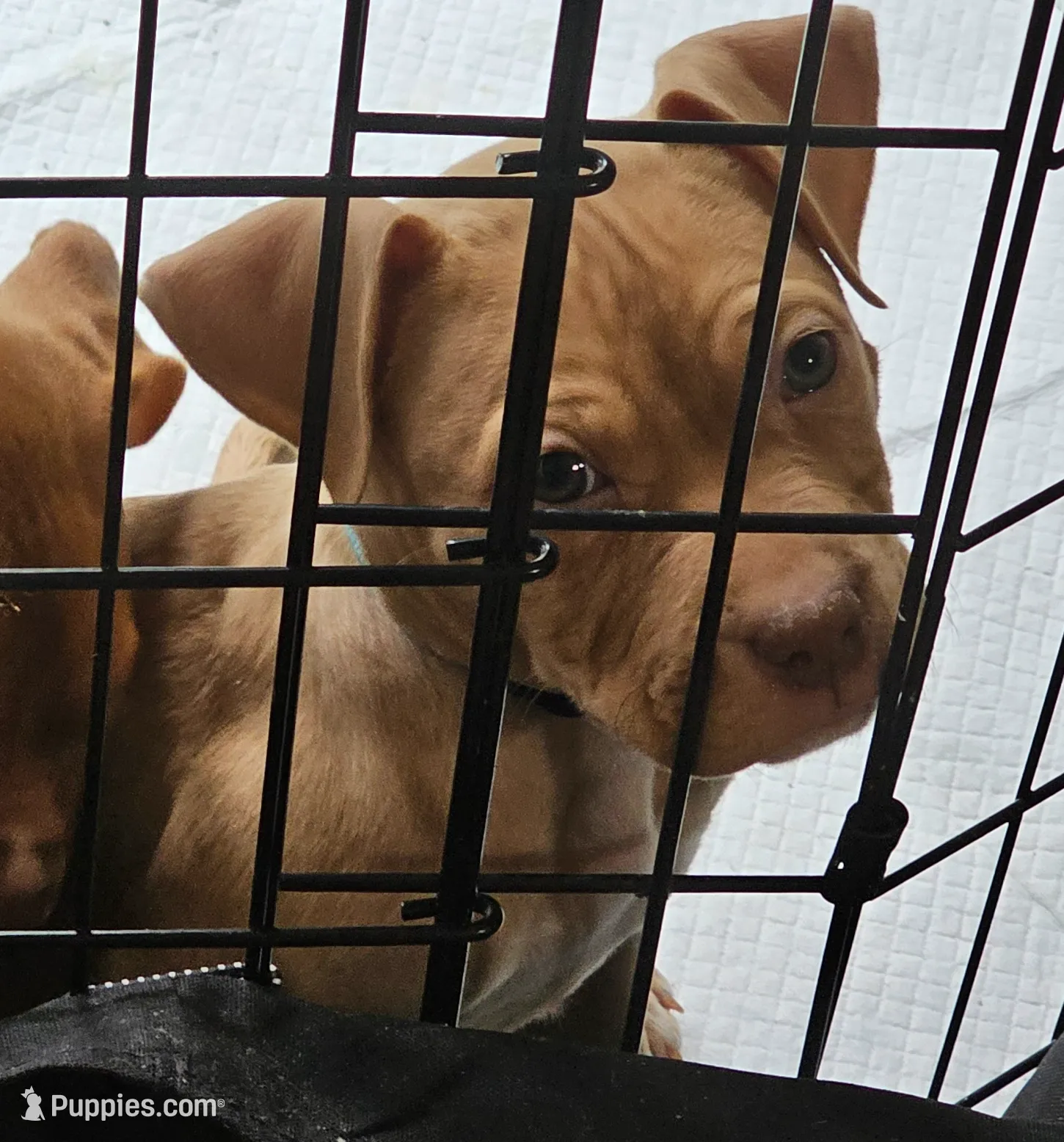 processed/e55daac7-8fd1-492b-806d-fd65c3f53004/listing/1b79f97d-a34d-4bfe-b01a-0c3bf9b14df7/ca7fbb12-6684-44e7-b042-530113702672