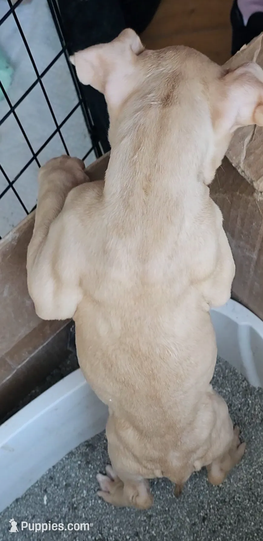 processed/e55daac7-8fd1-492b-806d-fd65c3f53004/listing/52488fd8-06ff-48d7-b1e0-7f0331a9f5ea/4e34ee8e-6781-4e8e-9801-c01daf04be4e